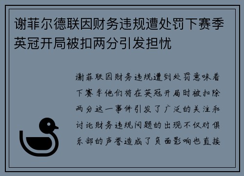谢菲尔德联因财务违规遭处罚下赛季英冠开局被扣两分引发担忧